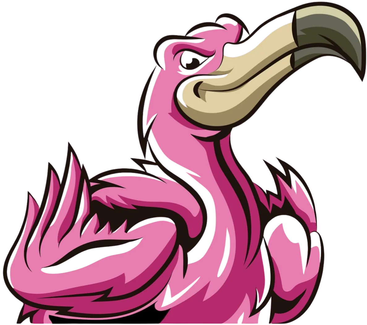 Flamingos México